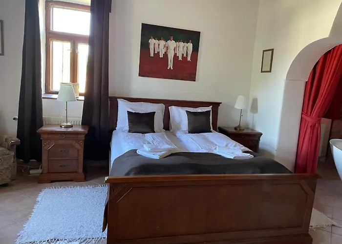 Gasthuis Visnyo Vendeghaz 3*